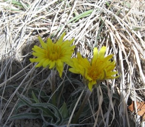 wpid-brilliantcoloringrey-2011-04-13-22-321.jpg